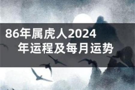 属虎的运势起伏：如何把握的好运