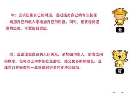 运程详解：属相决定你的财富与事业
