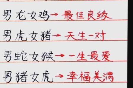 属鼠与哪些生肖最为相配，打造完美婚姻关系的秘诀