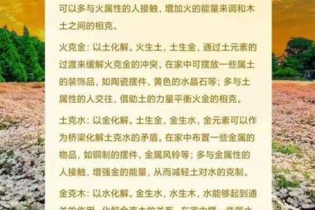 揭秘站五行属性：如何影响你的生活与决策