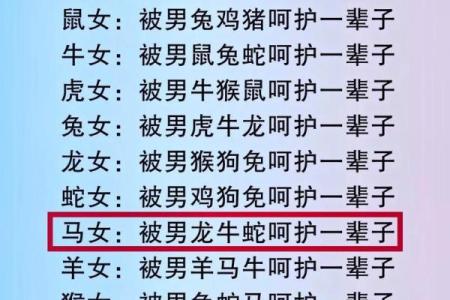 男兔与女鼠的情感契合度如何