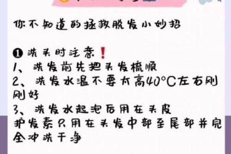 改善家居风水的头发养护技巧