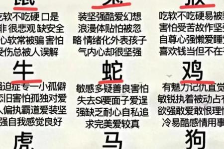 男鼠与女鼠配对的优势与挑战分析