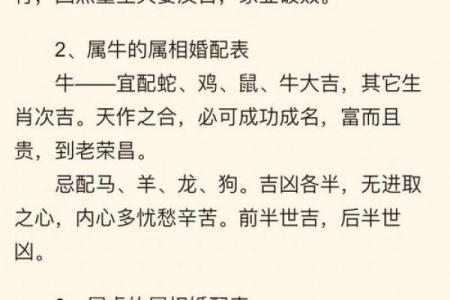 本命年鼠女如何规避职场中的误区