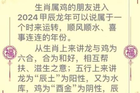 本命年属鸡如何调整自己的理财策略