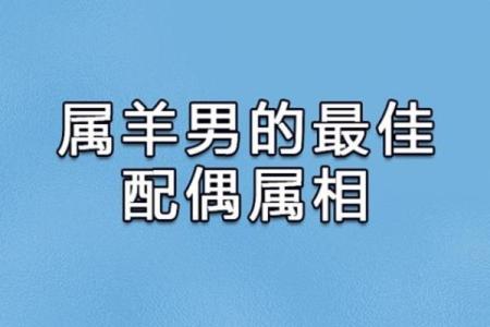 属羊男和属狗女：缘分是否天注定