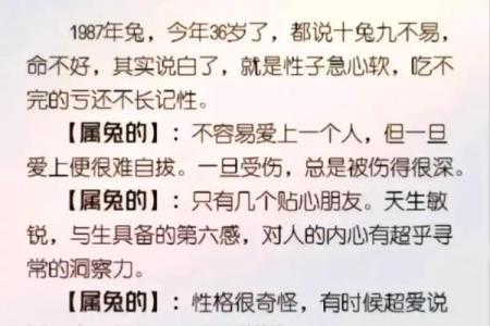 属兔人在本命年如何做好职业规划