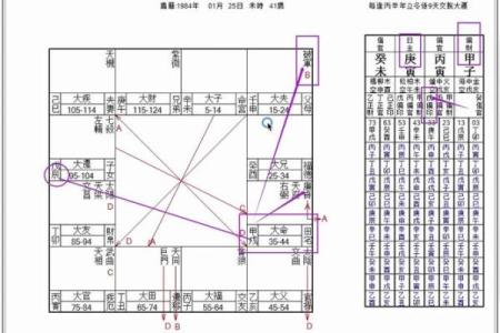 生肖与八字每日运程的关系：如何影响你的日常生活