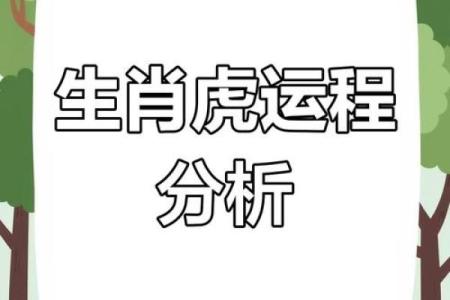 属虎每月运势分析及关键影响因素