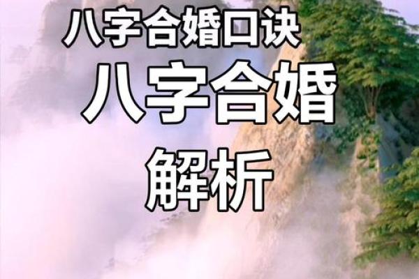 八字命理与二婚幸福的关系,如何通过命理避免婚姻波折 八字命理与二婚幸福的关系,如何通过命理避免婚姻波折