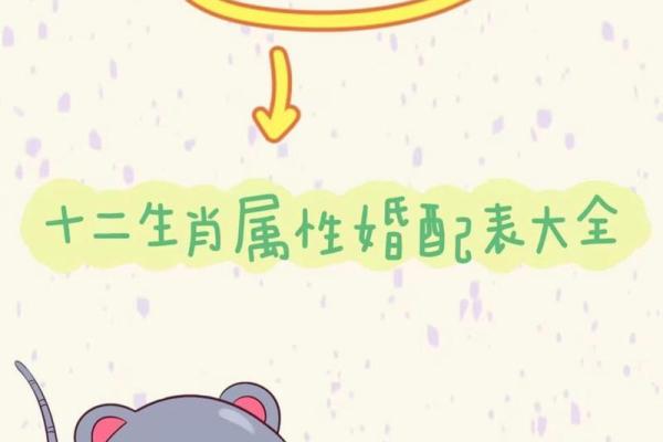 猴鼠配对:性格与命运的碰撞 猴鼠配对:性格与命运的碰撞
