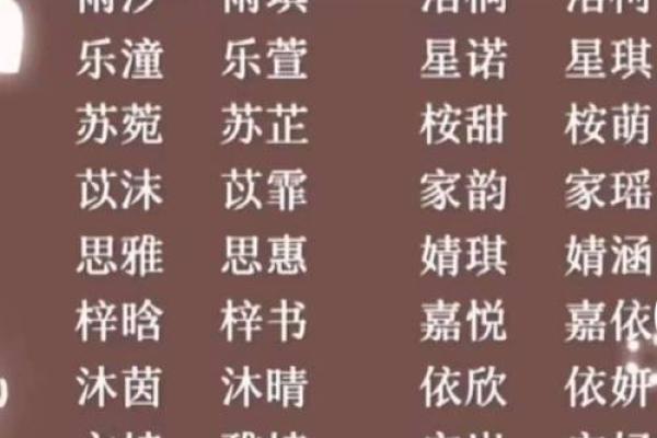 生辰八字双胞胎起名网：如何为双胞胎起个既合适又有意义的名字？