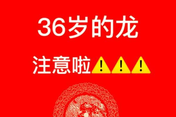属龙本命年运势解析与指南 属龙本命年运势解析与指南