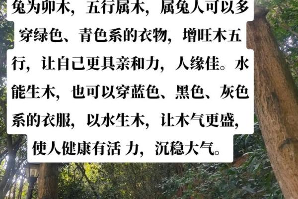 水木命的含义与特征解析 水木命的含义与特征解析