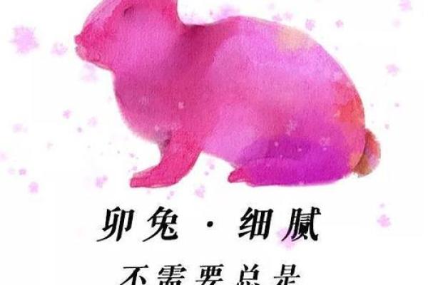 为什么别人说你是兔命?解读兔命背后的命运象征 为什么别人说你是兔命?解读兔命背后的命运象征