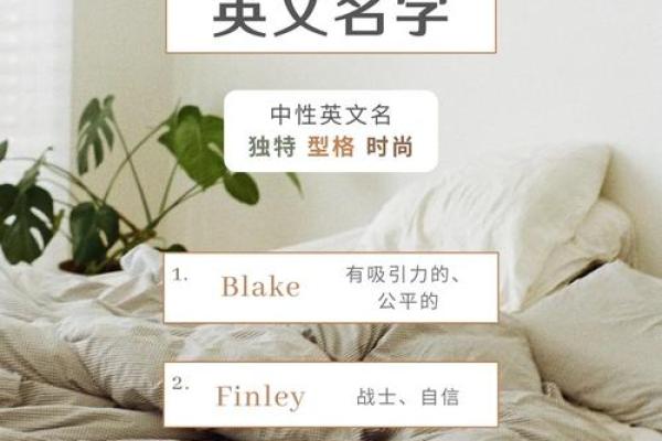 英文名字的文化差异及其选择指南 英文名字的文化差异及其选择指南