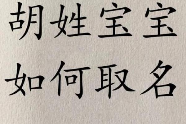 胡姓宝宝名字大全 选择适合孩子的名字方法 胡姓宝宝名字大全 选择适合孩子的名字方法