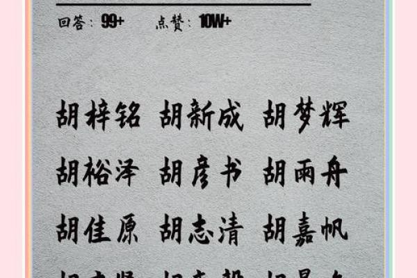 胡姓宝宝名字大全 选择适合孩子的名字方法 胡姓宝宝名字大全 选择适合孩子的名字方法