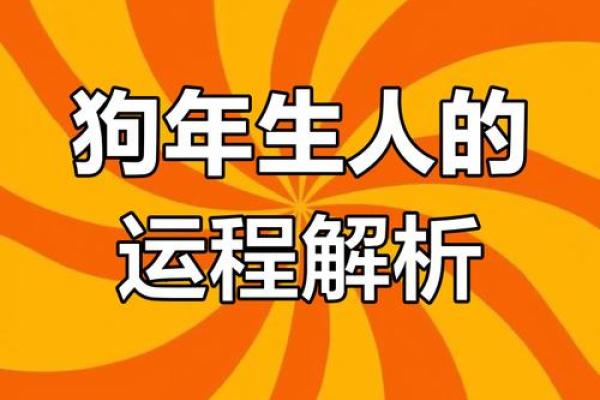 属狗运势分析：幸运与挑战并存