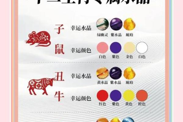 今年十二生肖的幸运与挑战