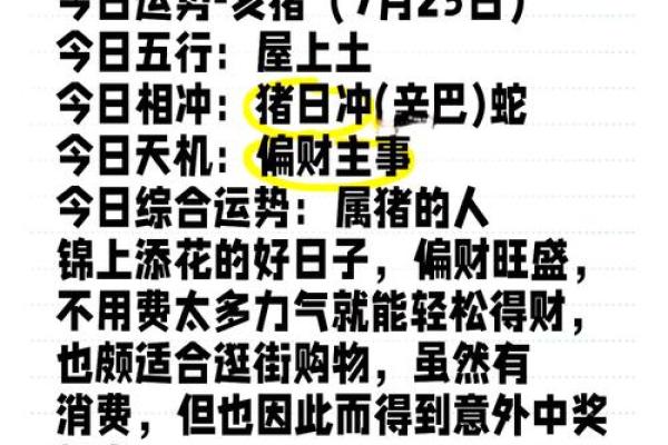 属猪人的整体运势趋势与发展机会