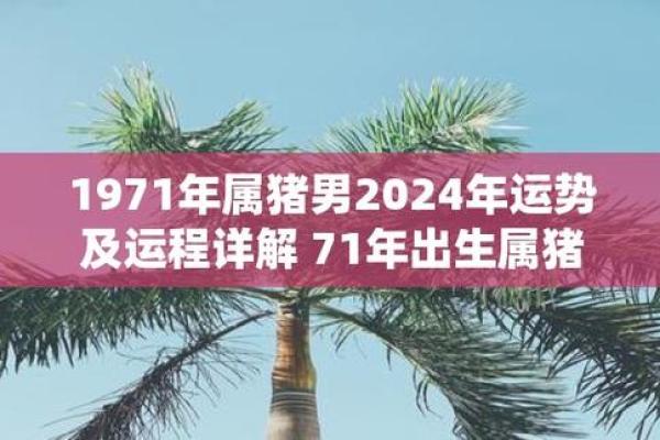 属猪人的整体运势趋势与发展机会