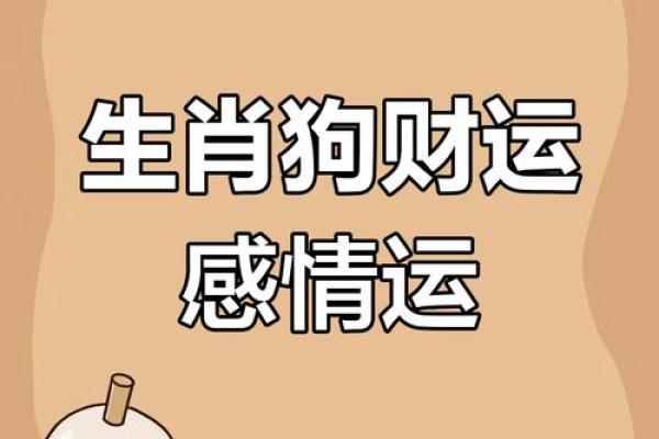 属猪人在狗年每月运势解析