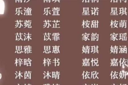 生辰八字双胞胎起名网：如何为双胞胎起个既合适又有意义的名字？