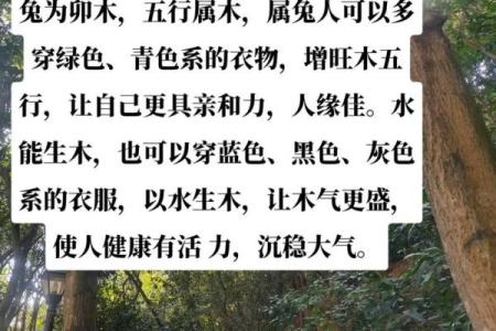 水木命的含义与特征解析