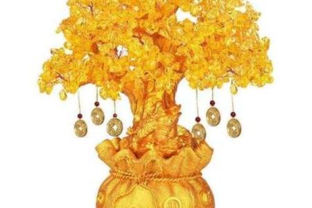 如何利用招财风水相册增强财运和事业运