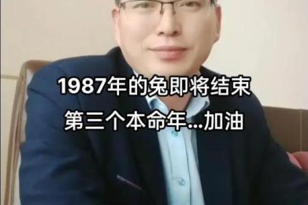 为什么别人说你是兔命？解读兔命背后的命运象征
