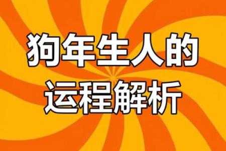 属狗运势分析：幸运与挑战并存