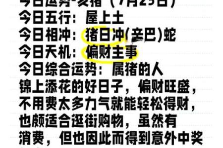 属猪人的整体运势趋势与发展机会