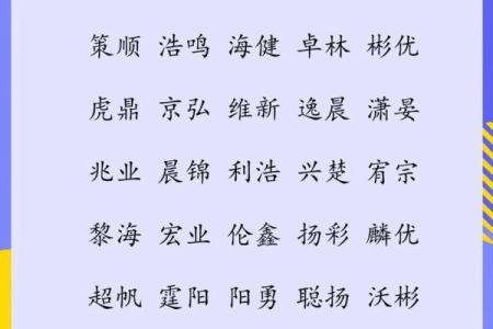电梯公司品牌命名的成功案例与启示