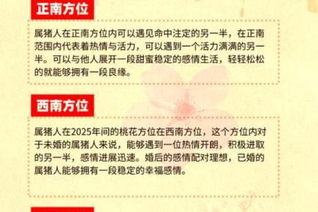属猪人在狗年每月运势解析