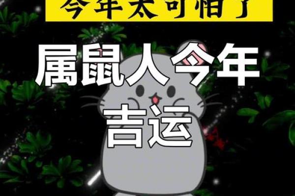 每，月属鼠如何运势应变化对，挑战如何与调整机生活遇以迎接挑战