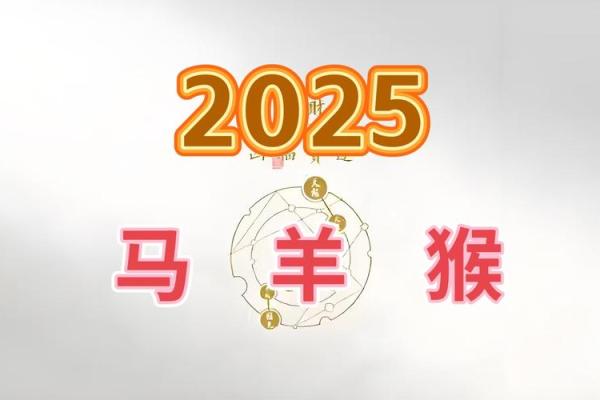 属马每月运势分析：如何掌控好每个月的运程