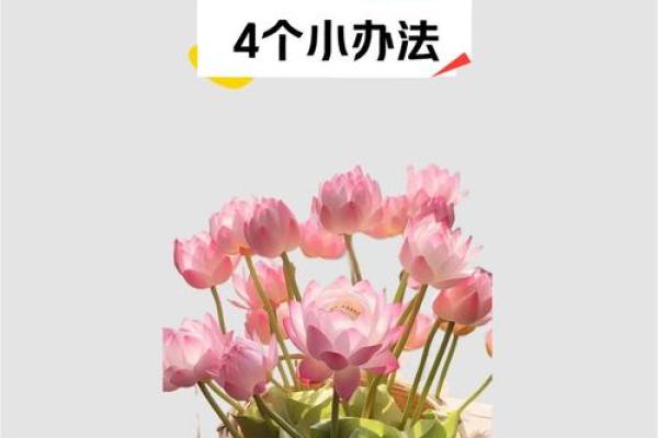 公司风水招财法则,提升企业运势的关键 公司风水招财法则,提升企业运势的关键