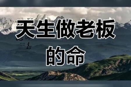 想成为老板？了解老板命是关键