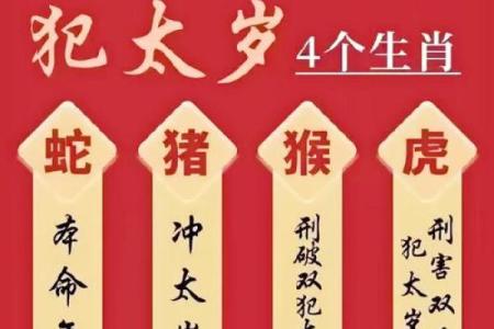 本命年鼠男如何通过自我调整提升运势