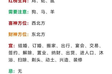 属鸡的朋友在本命年能做哪些改变提升运势