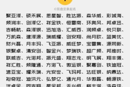 公司免费起名四字方案，让你的品牌更有特色