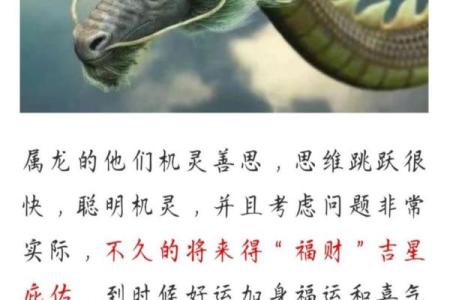 属龙今日运程指南：抓住运气，化解烦恼