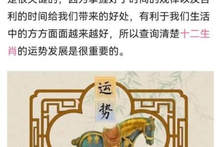 蛇人未来一年的运程如何？专家解读你的运势走向