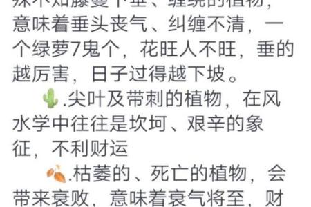 如何通过调整家居风水提升生育运势