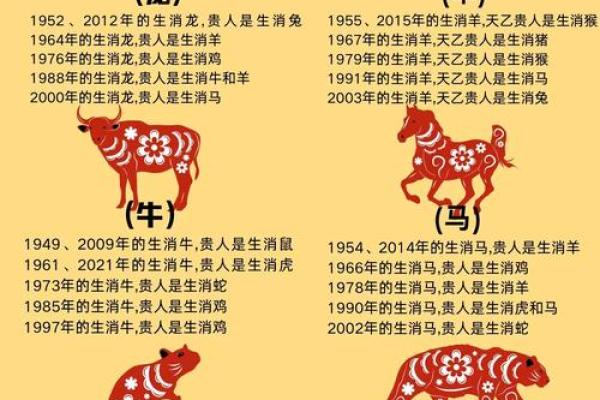 羊年属兔每月运程预测与分析