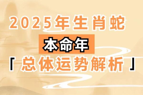 属蛇人本命年如何应对健康挑战 属蛇人本命年如何应对健康挑战
