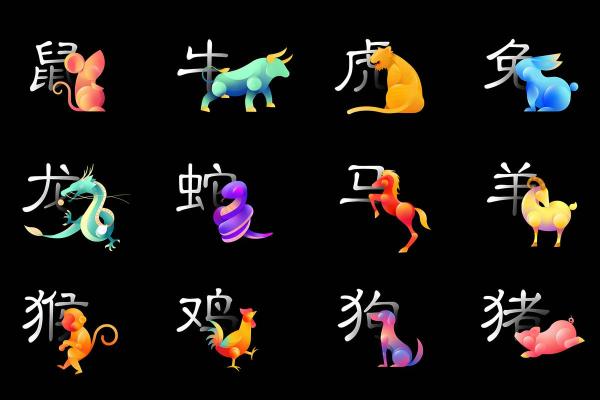 十二属相运程全解析