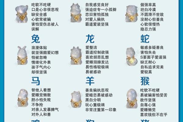 十二属相运程全解析