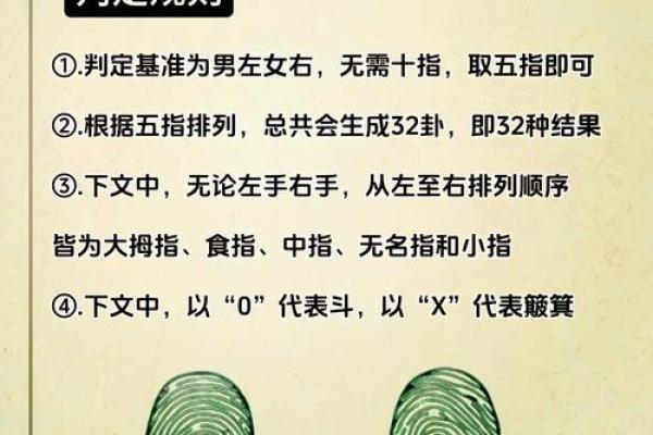 纸簸萁的命运象征与文化意义解析 纸簸萁的命运象征与文化意义解析